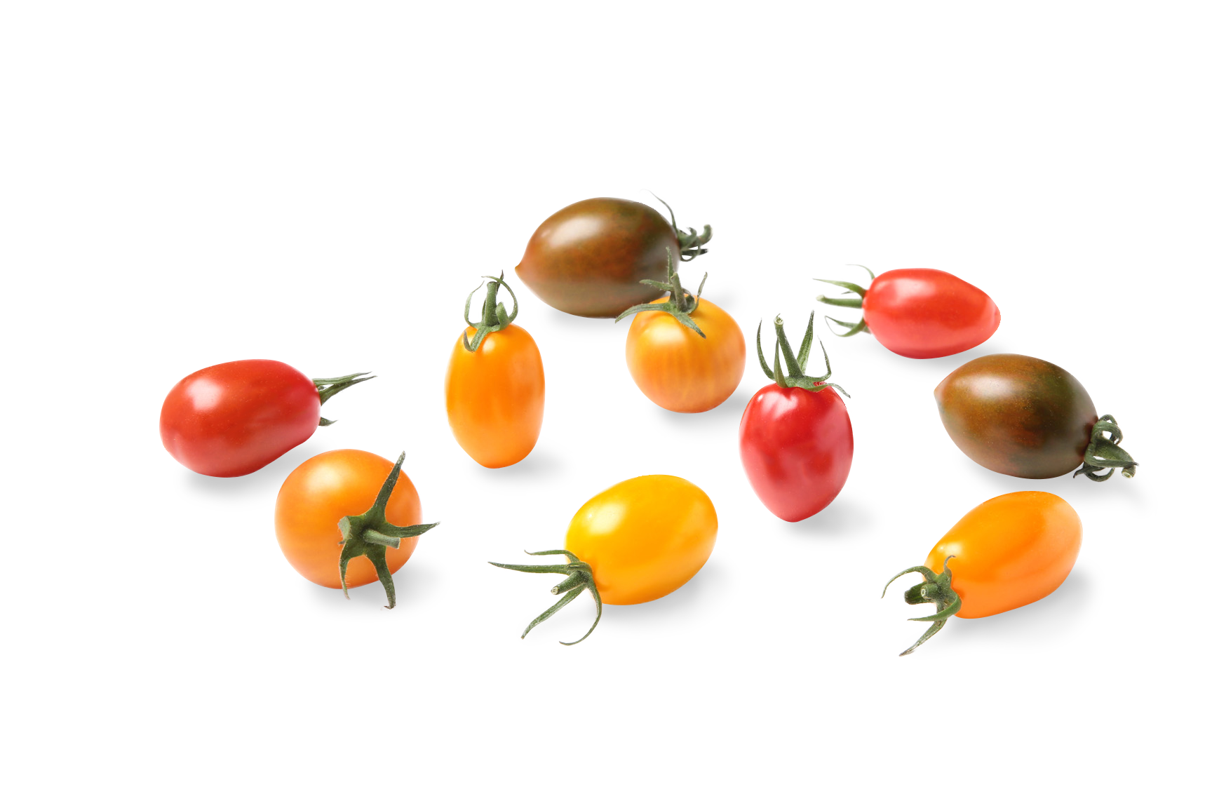 Sangria® Medley Tomatoes
